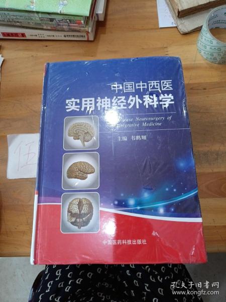 中国中西医实用神经外科学