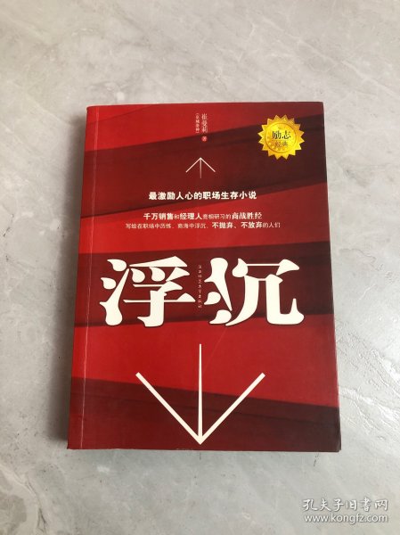 浮沉：最激励人心的职场生存小说