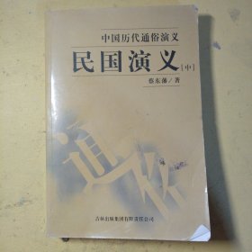 民国演义（中）