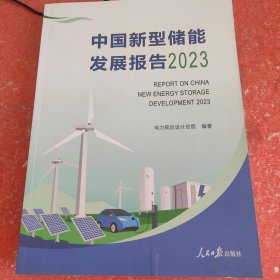 中国新型储能发展报告 . 2023(看后面的图片)