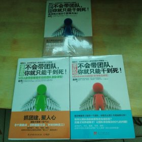 抓执行、带队伍、懂激励：不会带团队，你就只能干到死！(3本) 未拆封