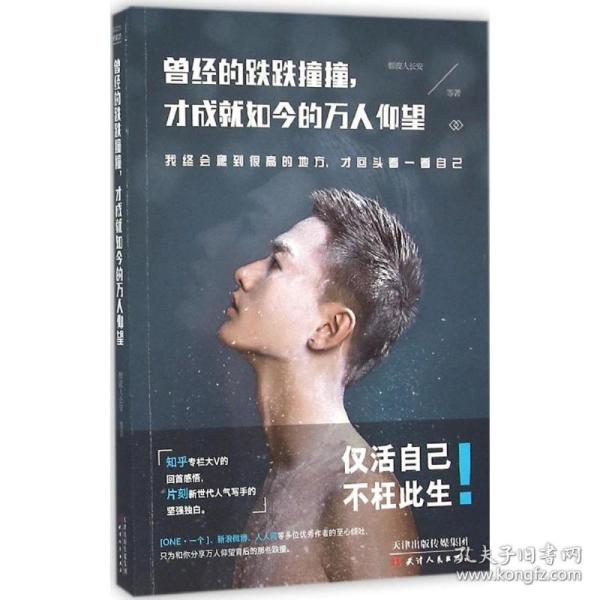 曾经的跌跌撞撞,才成就如今的万人仰望烟波人长安 等 著天津人民出版社