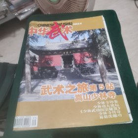 中华武术 2003.9