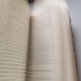 大智大勇：周恩来在1946