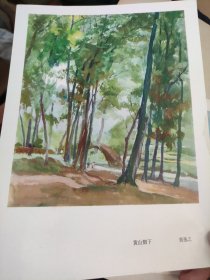 画页（散页印刷品）———书画（七十年代老画片）——-黄山脚下【翁逸之】1897