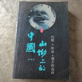 山坳上的中国：问题·困境·痛苦的选择