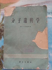 分子遗传学