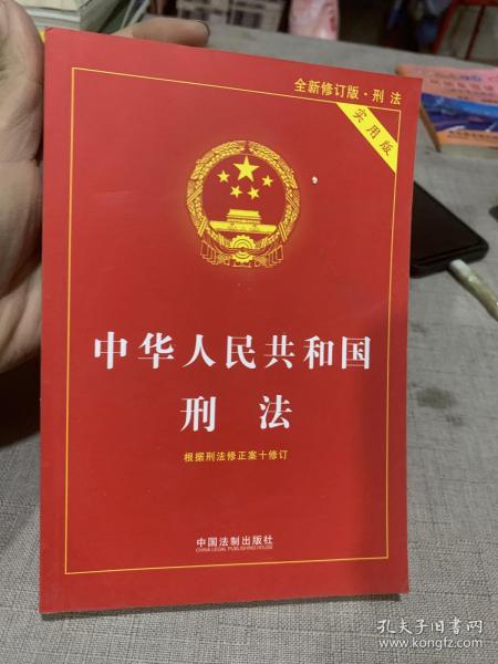 中华人民共和国刑法实用版（根据刑法修正案十 全新修订 第八版）