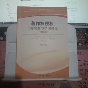 著作权侵权专题判解与学理研究（第1分册）