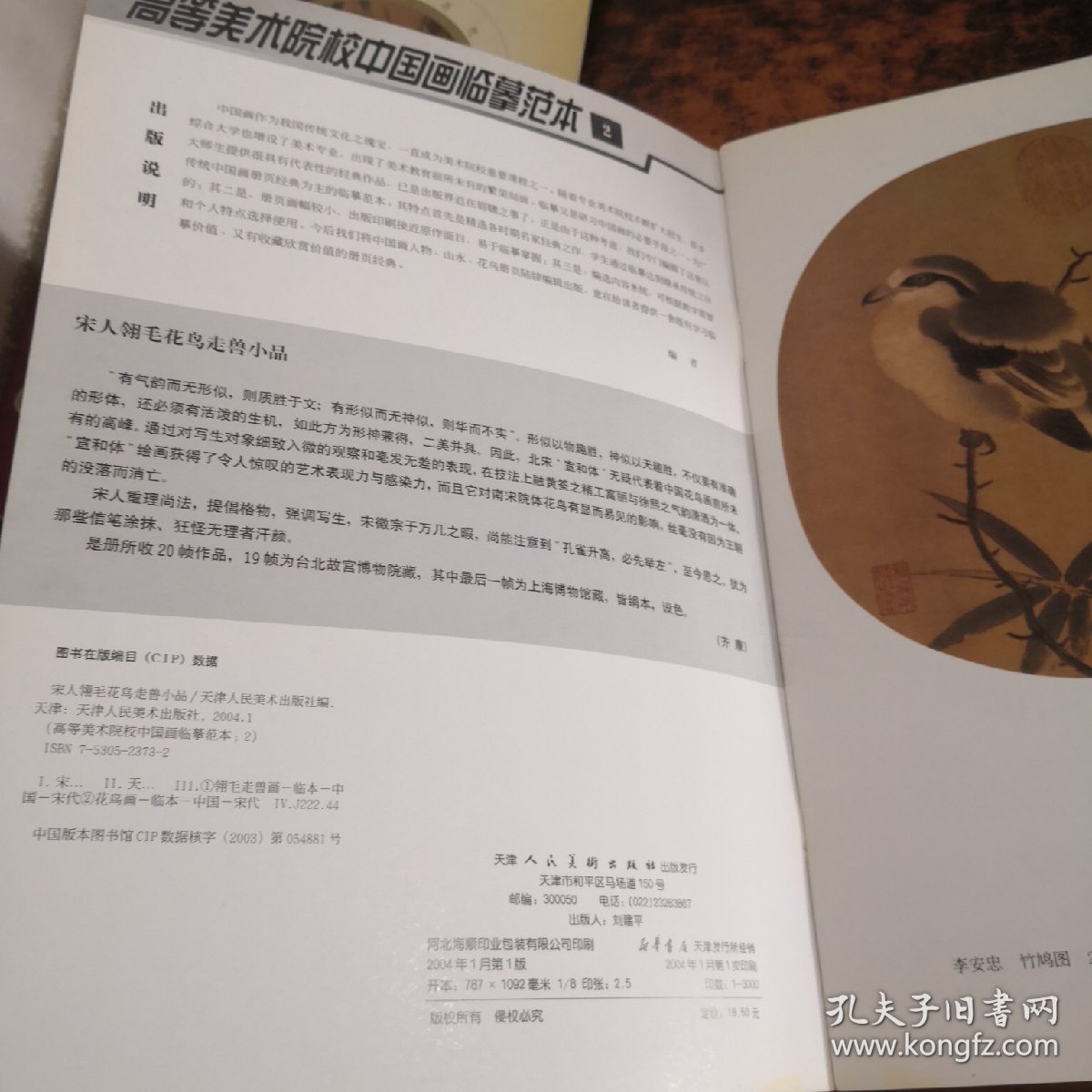 高等美术院校中国画临摹范本2：宋人翎毛花鸟走兽小品