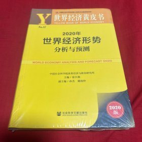 世界经济黄皮书：2020年世界经济形势分析与预测，未开封，以图片为准