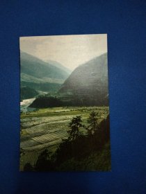 西藏 扎西梯田早期明信片