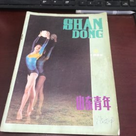 山东青年1985年第5期