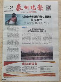 《泰州晚报》2022.1.26【“鸟中大熊猫”青头潜鸭首现泰州】