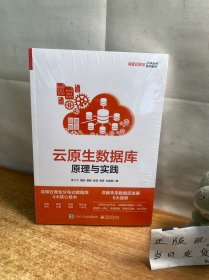 云原生数据库：原理与实践