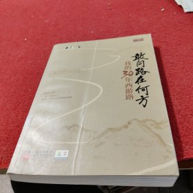 敢问路在何方：我的30年西游路