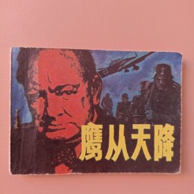鹰从天降