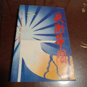 失衡的中国：农村城市化的过去、现在与未来（第一部）