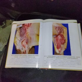 钟世镇临床解剖学图谱全集：钟世镇显微外科临床解剖学图谱 签名本：非常难得2009年第1版第1次印刷