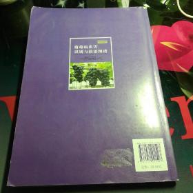 家庭农场实用技术丛书·园艺作物病虫害图谱系列：葡萄病虫害识别与防治图谱