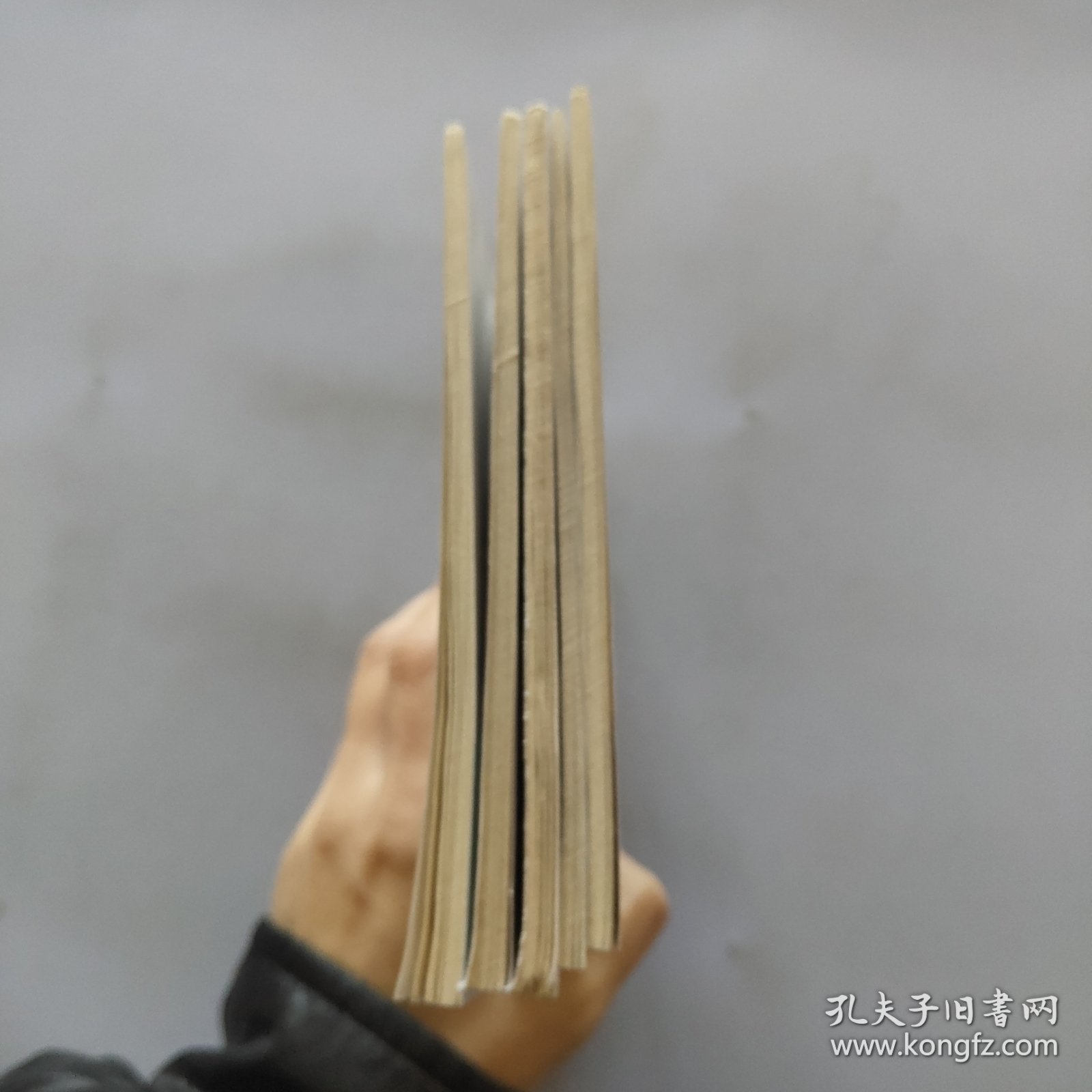 孔子与曲阜·孔子小传 孔林 孔氏家族 孔府 孔庙