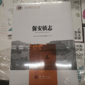 保安镇志