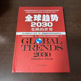 全球趋势2030：变幻的世界（精装）