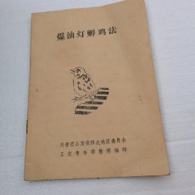 煤油灯孵鸡法