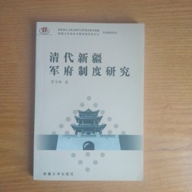 清代新疆军府制度研究