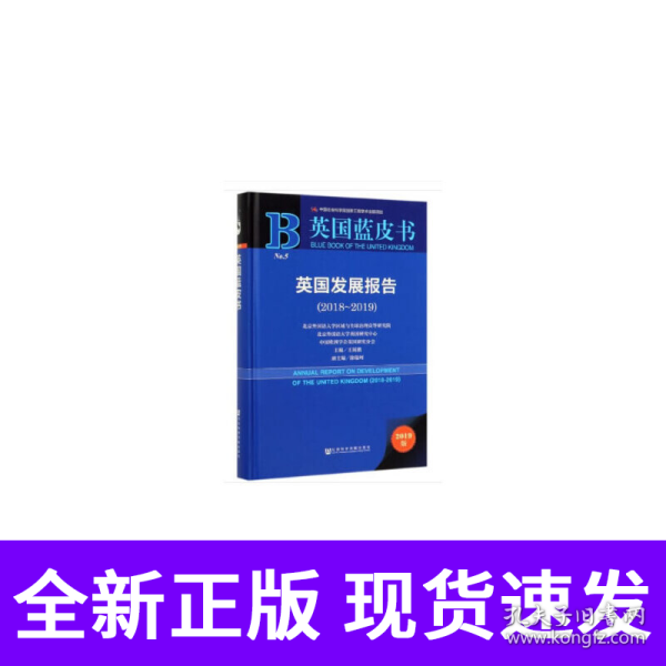 英国发展报告