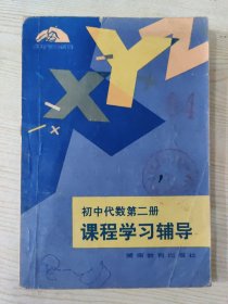 初中代数第二册 课程学习辅导