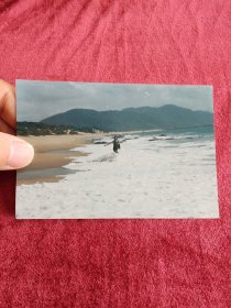 美女海边老照片 八十年代九十年代彩色相片像片