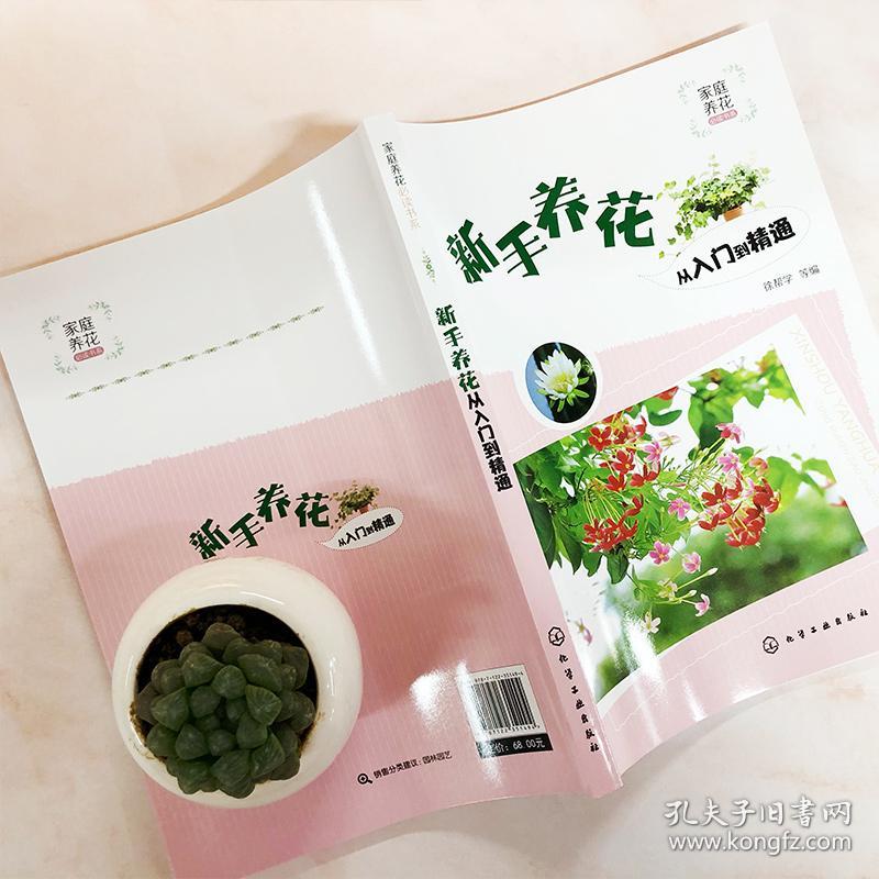 新手养花从入门到精通/家庭养花必读书系