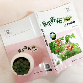 新手养花从入门到精通/家庭养花必读书系