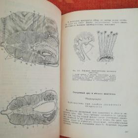 实验生物学 (1960年，俄文原版。内页有标记划线，在意者勿拍。)