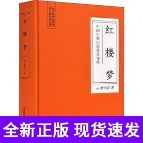 中国古典小说普及文库：红楼梦