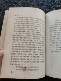 张竹坡批评 金瓶梅（上下）+金瓶梅续书三种 （上下） 四本合售