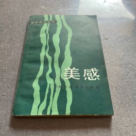 美学译文丛书:美感