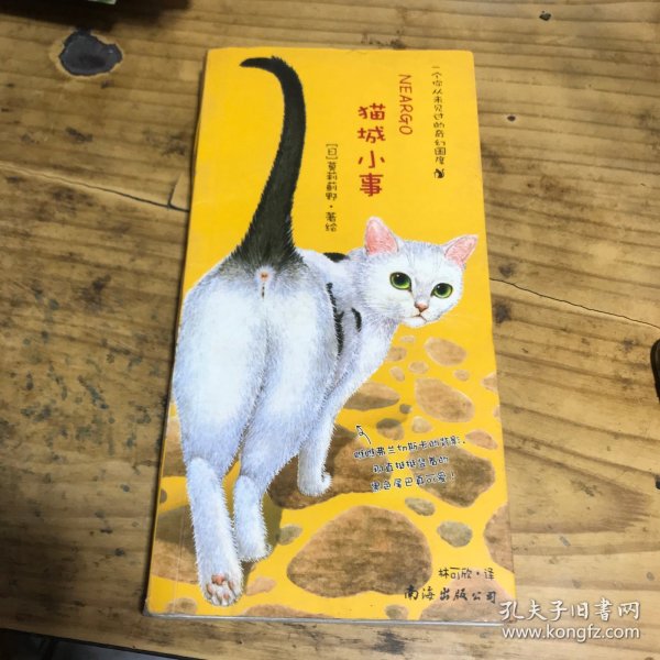 猫城小事