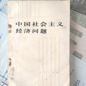 中国社会主义经济问题