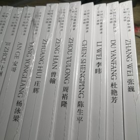 中国当代摄影图录：何宇晟 杜艳芳 李  张巍 曾翰 周裕隆 陈生平 安哥 杨泳梁 庄辉 邵文欢 严怿波 计洲 金平 桔多淇 冯建国 王轶庶 （17册合售）全新未拆封