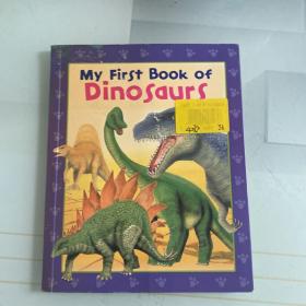 My First Book of DINOSAURS