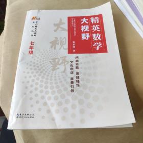 精英数学大视野七年级