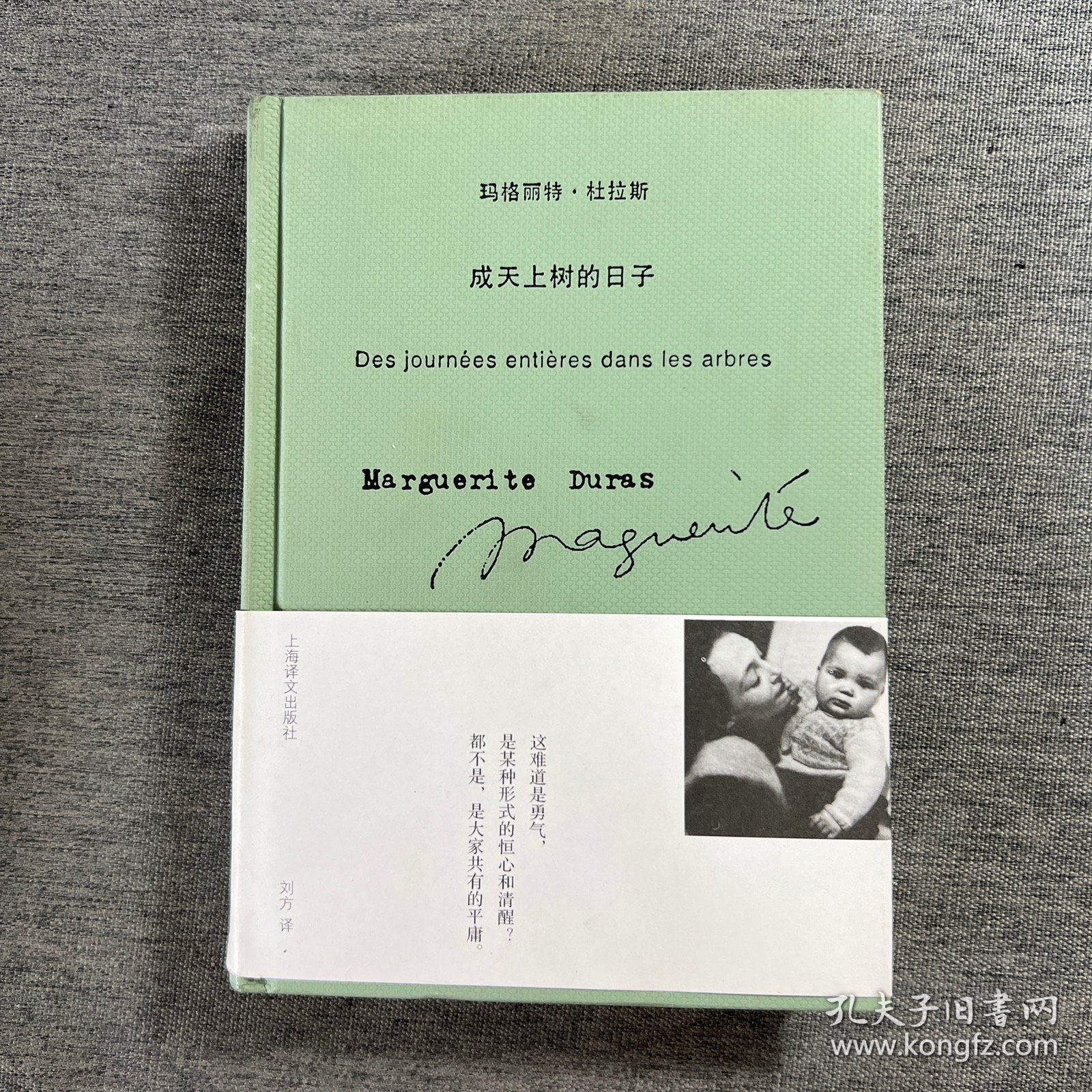 成天上树的日子