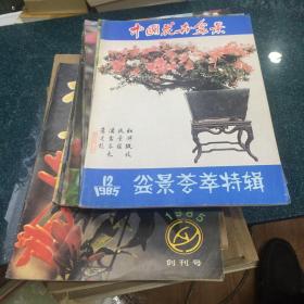 中国花卉盆景 创刊号（1984年）1985年1～12期缺11期、1986年7～12期、1987年1～12期、1988年1～12期1989年2期合售