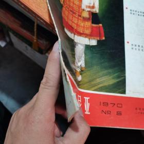 新阿尔巴尼亚（1970.5）＊