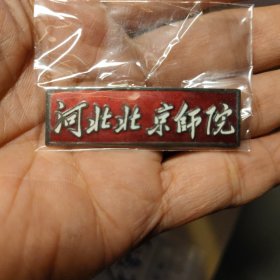 河北北京师院校徽（毛体珐琅彩）