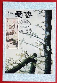 梅花极限片(贴有T103(6－3)，销有2025.6.26.江苏泗洪梅花戳)