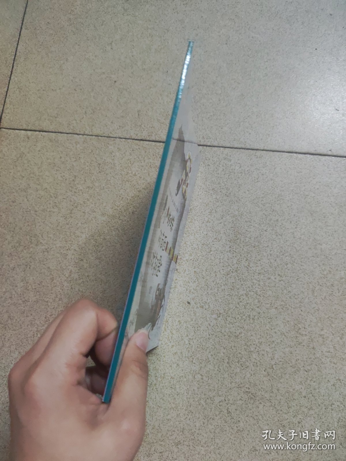 小蜘蛛阿南西找钥匙规律/从小爱数学