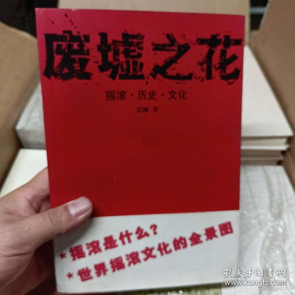 废墟之花：摇滚・历史・文化：摇滚·历史·文化